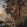 Fancy Landscape Mural by Caselio Marron Clair Kaki