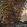 Fantasy Landscape Mural by Caselio Marron Clair Kaki