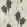Wisteria Wallpaper by Farrow & Ball Vert De Terre