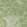 Helleborus Wallpaper by Farrow & Ball 6