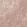 Faunacation Wallpaper by Divine Savages Bengal Blush