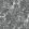 Faunacation Wallpaper by Divine Savages Monochrome