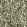 Feline Fabric by Schumacher Amazon