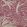 Savernake Fabric by Fermoie Raspberry