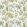 Fern Tree Fabric by Colefax and Fowler Green