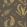 Ferns Wallpaper by GP & J Baker Charcoal
