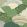 Fernshaw Wallpaper by Woodchip & Magnolia Evergreen