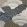 Fernshaw Wallpaper by Woodchip & Magnolia Night Sky