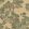 Field Maple Wallpaper by Coordonne Sunny