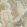 Figura Wallpaper by Black Edition Ashlar