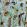 Fishing Flies Wallpaper by MINDTHEGAP Aquamarine