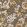 Fleur D'Assam Wallpaper by Designers Guild Copper