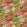 Fleur D'Artistes Fabric by Designers Guild Terracotta