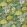 Fleur D'Artistes Fabric by Designers Guild Vintage Green