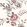 Fleurie Wallpaper by Lewis & Wood Anemone