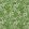 Fleurs Etoilees Fabric by Christopher Farr Cloth Green