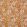 Fleurs Etoilees Fabric by Christopher Farr Cloth Orange