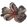 Flora Bloom 4 Rug by Nanimarquina Grey