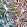 Flora Wallpaper by Missoni Multi
