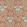Floral Fanfare Wallpaper by 1838 Wallcoverings Coral
