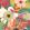 Floral Riot Wallpaper by Ohpopsi Olive