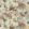 Flores Mural by Harlequin Rosewood/Julip/Atlantic