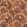 Flores Wallpaper by Jannelli&Volpi Spice