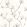 Florescence Suzhou Wallpaper by Casadeco Gris Bleute