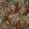 Floresta Fabric by Clarke & Clarke Mineral/Spice