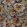 Floresta Fabric by Warwick Document