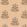 Floret Wallpaper by Langelid Von Bromssen Nude