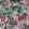 Floribunda Wallpaper by 1838 Wallcoverings Blush