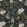 Flory Wallpaper by Josephine Munsey Navy