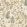 Flory Wallpaper by Josephine Munsey Olive