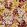 Flower Pot Wallpaper by Missoni 2