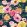 Blossom Mural by Caselio Multicouleur