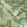 Flowers of Africa Wallpaper by Eijffinger Pastel/Green