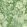 Flowery Ornament Wallpaper by MINDTHEGAP Bud Green