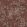 Foglie e Civette Wallpaper by Cole & Son Autumnal Leaves