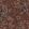 Foglie e Scimmie Wallpaper by Cole & Son Autumnal Leaves