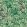 Foglie e Scimmie Wallpaper by Cole & Son Forest Green