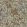 Foglie e Scimmie Wallpaper by Cole & Son Olive & Orange