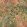 Folium Fabric by Arley House Honey