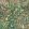 Folium Fabric by Arley House Jade