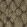 Folius Wallpaper by Clarke & Clarke Charcoal/Gilver