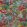 Forest Fabric by Andrew Martin Multi