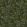 Forest Berries Wallpaper by Borastapeter Green/Blue