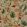 Fox Hollow Wallpaper by Schumacher Multi On Flannel