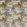 Fresco Fabric by Prestigious Textiles Amber