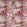 Fresco Fabric by Prestigious Textiles Samba